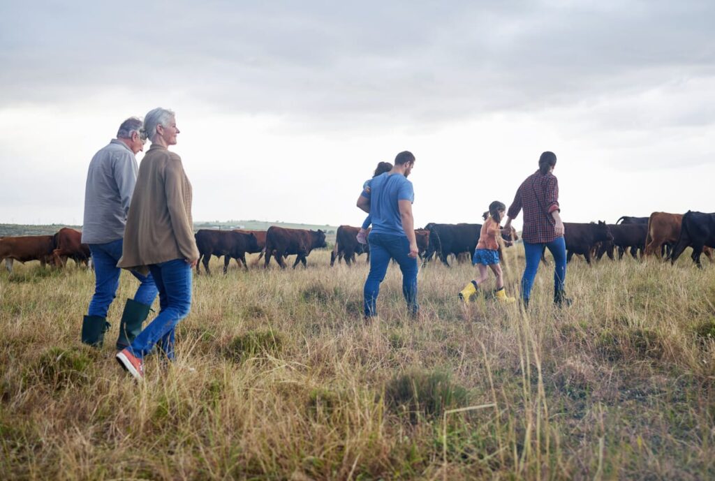 family walking through field with cattle